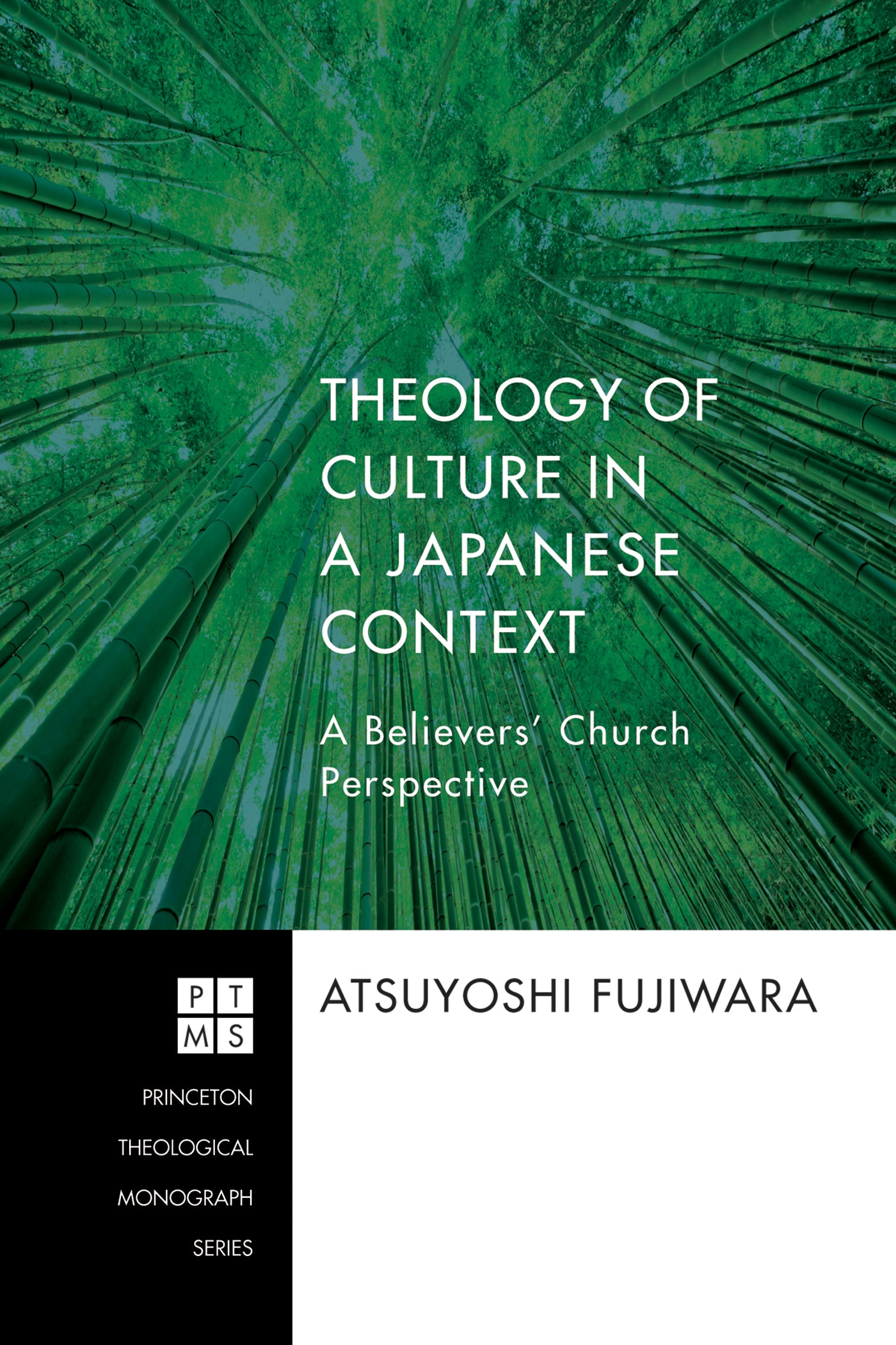 Theology of Culture in a Japanese Context (Princeton Theological Monograph Series)