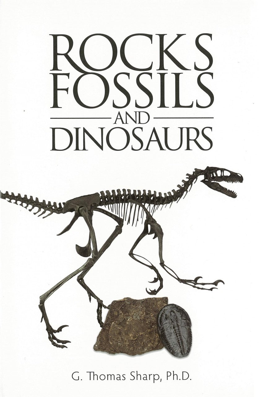 Rocks Fossils and Dinosaurs