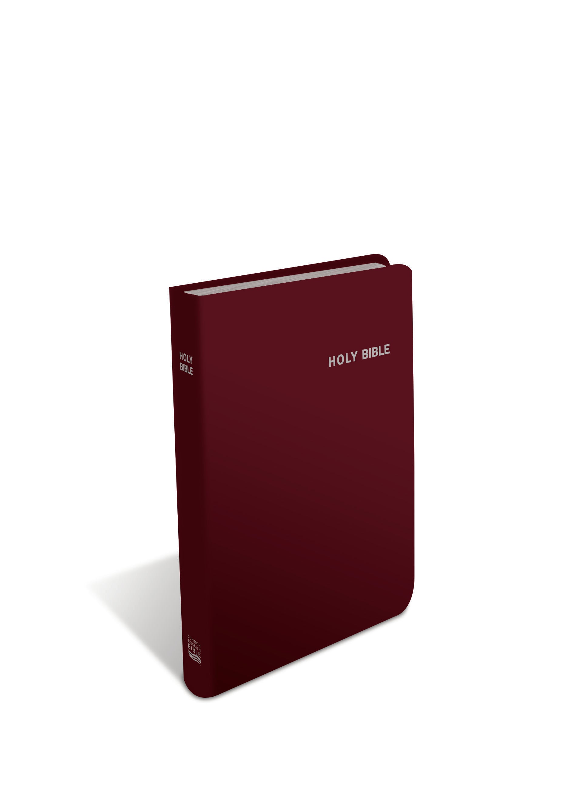 Ceb Deep Blue Kids Bible Burgundy