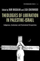 Theologies of Liberation in Palestine-Israel (Princeton Theological Monograph Series)