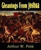 Gleanings From Joshua