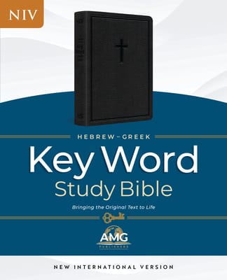 NIV Hebrew-Greek Key Word Study Bible Brown (Red Letter Edition)