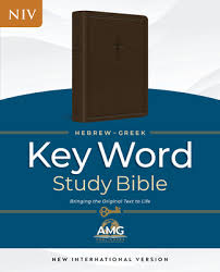 NIV Hebrew-Greek Key Word Study Bible Genuine Goat Leather Brown (Red Letter Edition)
