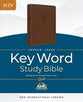 NIV Hebrew-Greek Key Word Study Bible Brown Indexed (Red Letter Edition)