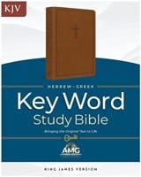 KJV Hebrew-Greek Key Word Study Bible Brown Indexed