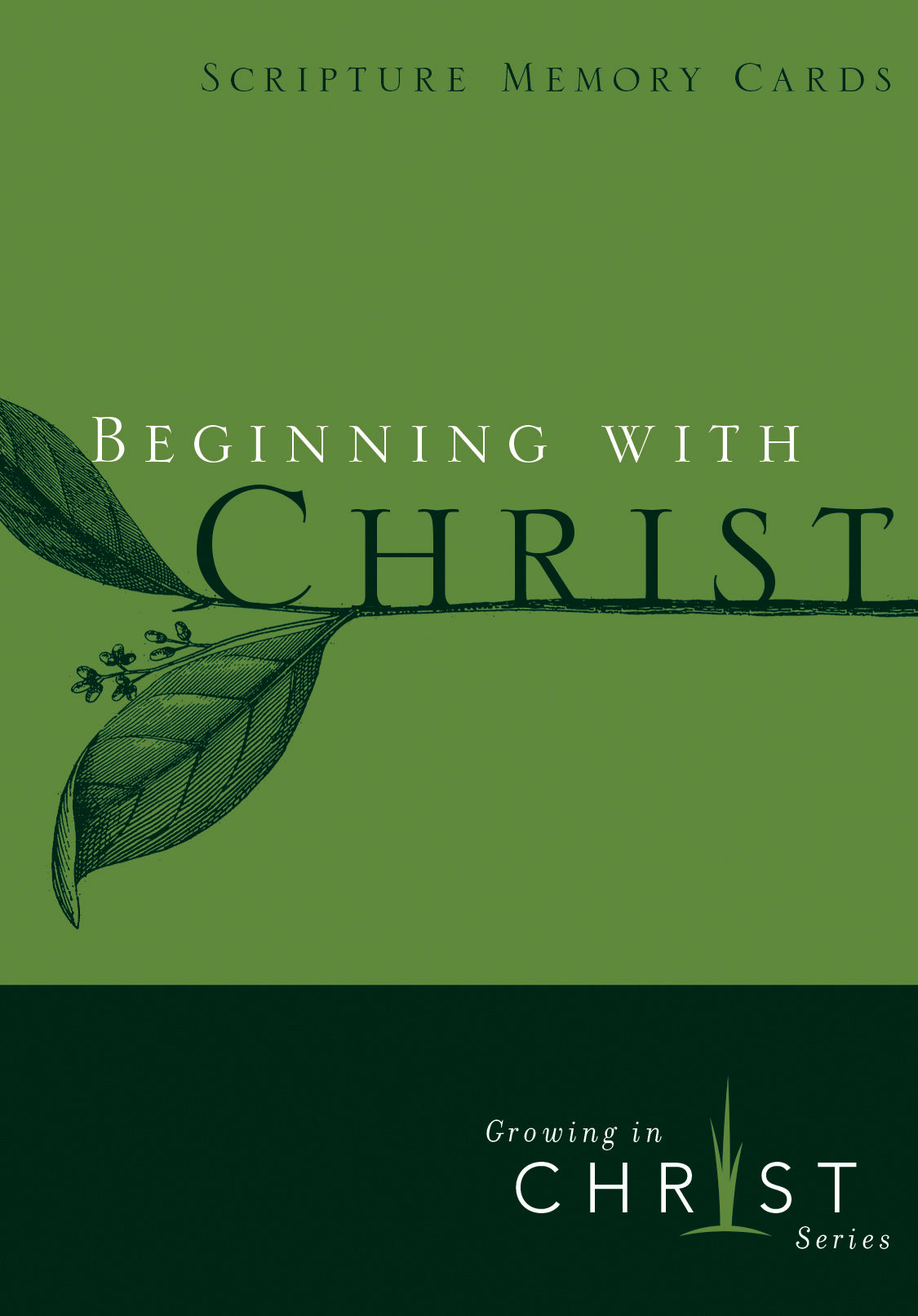 Growing in Christ: Beginning With Christ