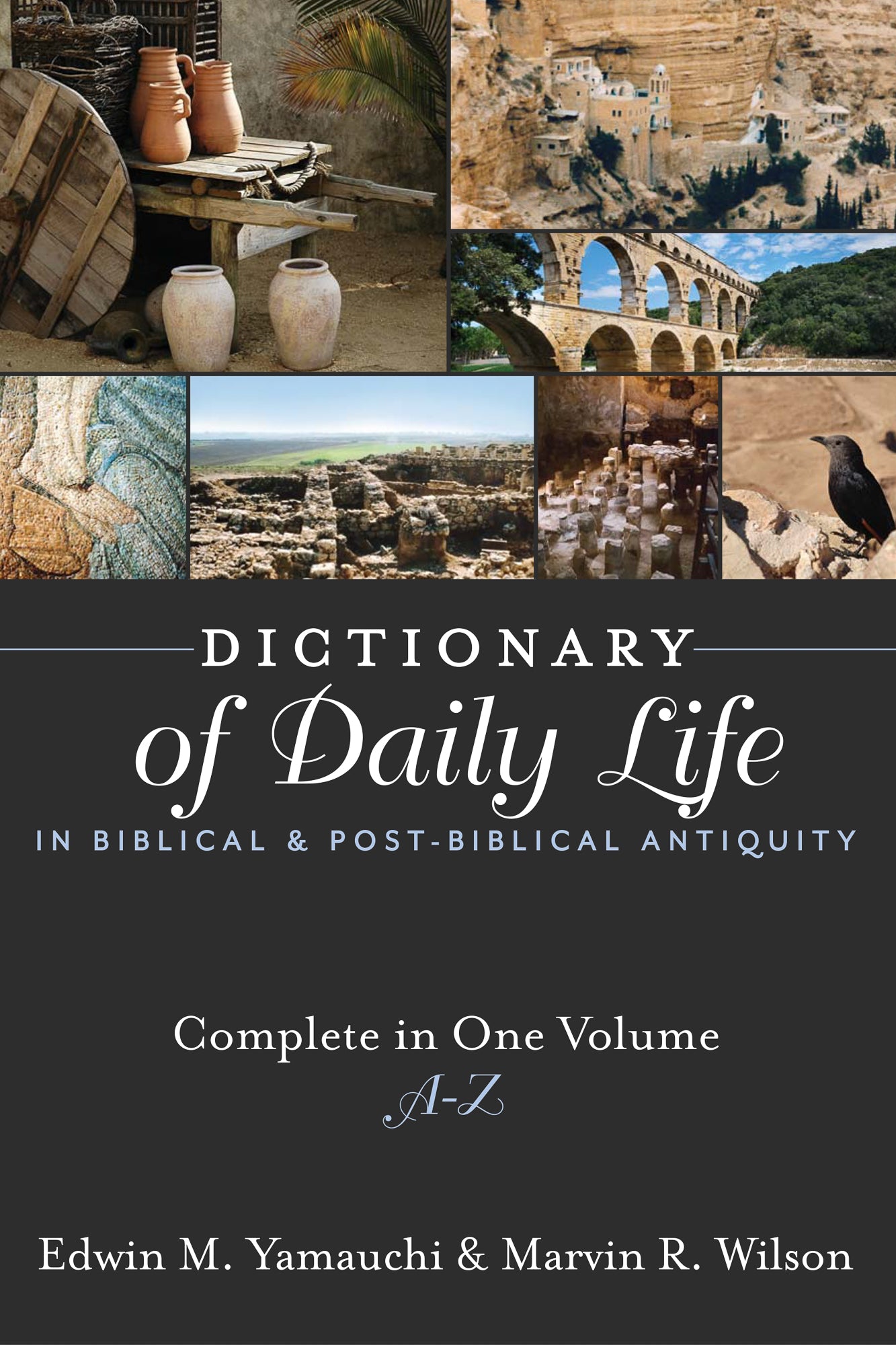 Dictionary of Daily Life in Biblical and Post-Biblical Antiquity (One Volume Edition A-z)