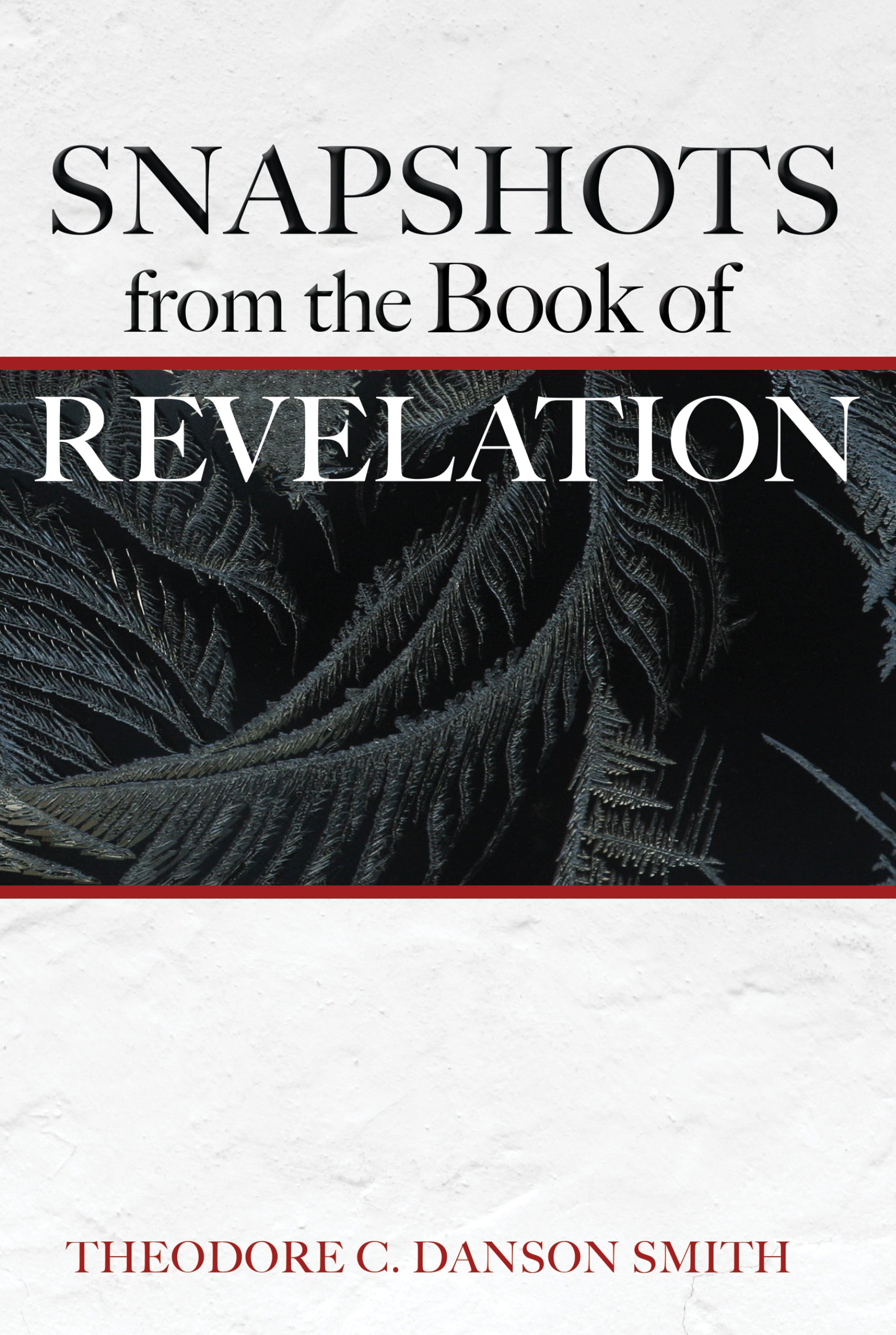 Snapshots From the Book of Revelation