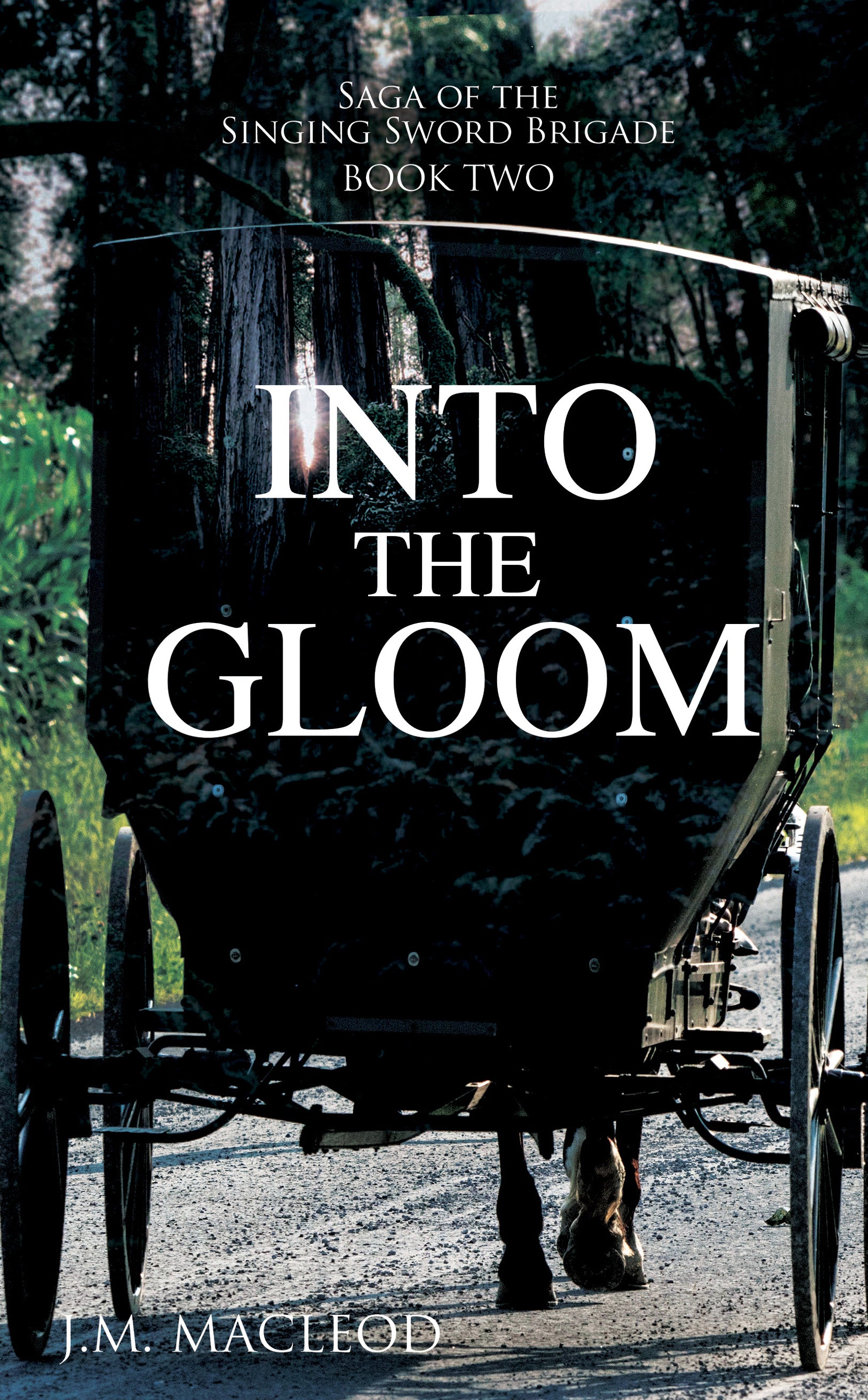 Into the Gloom (#02 in Saga Of The Singing Sword Brigade Series)