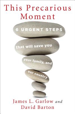 This Precarious Moment: Six Urgent Steps That Will Save You, Your Family, and Our Country
