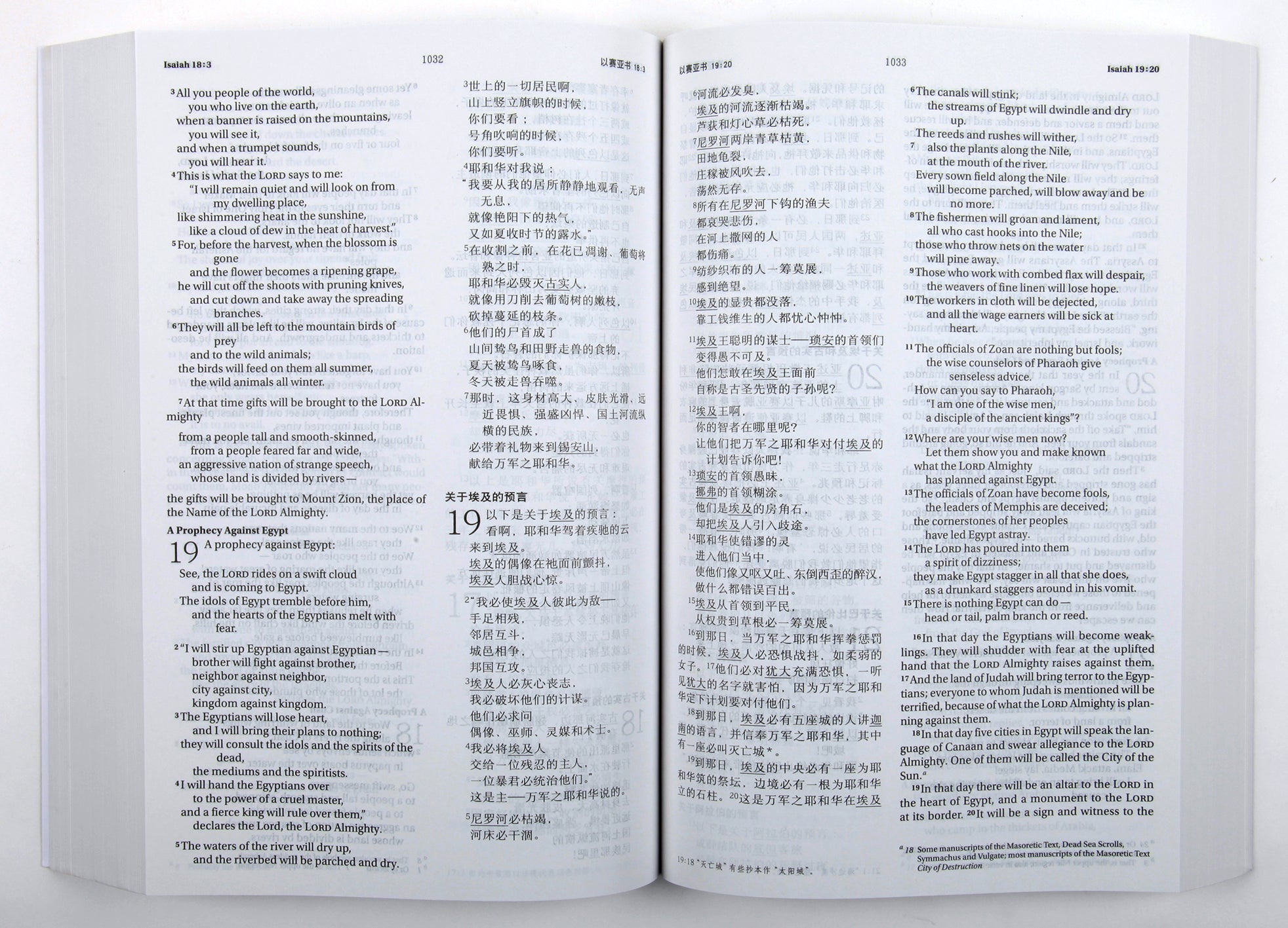 Chinese/English Bilingual Bible-PR-FL/NIV