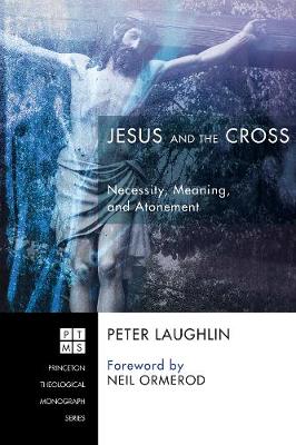 Jesus and the Cross: Necessity, Meaning, and Atonement (Princeton Theological Monograph Series)