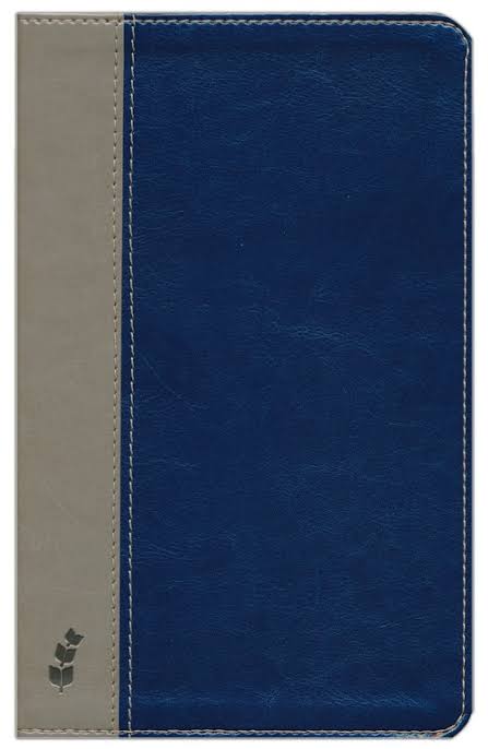 ERV Bible Deluxe Duotone Blue/Grey
