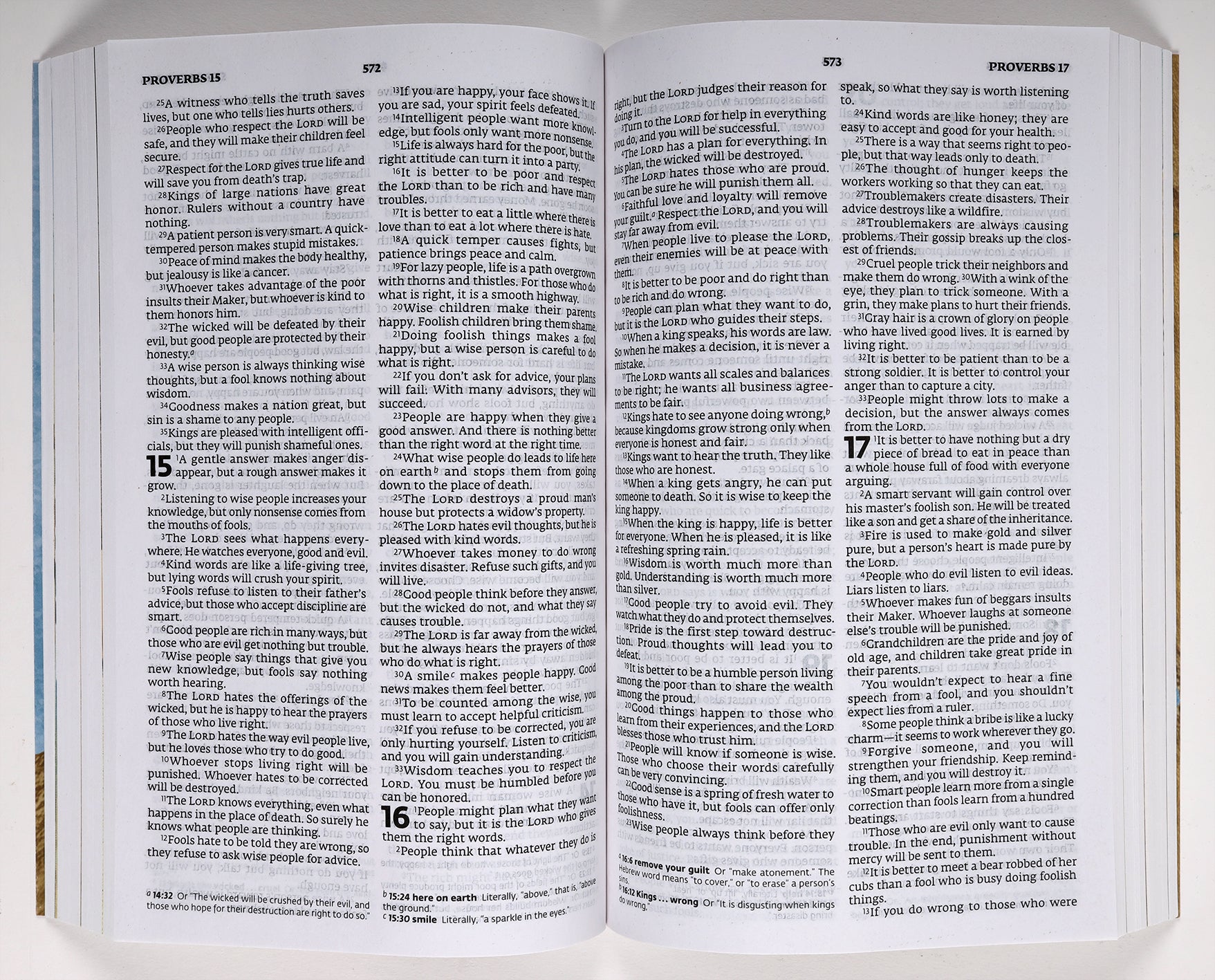 ERV Illustrated Children's Bible