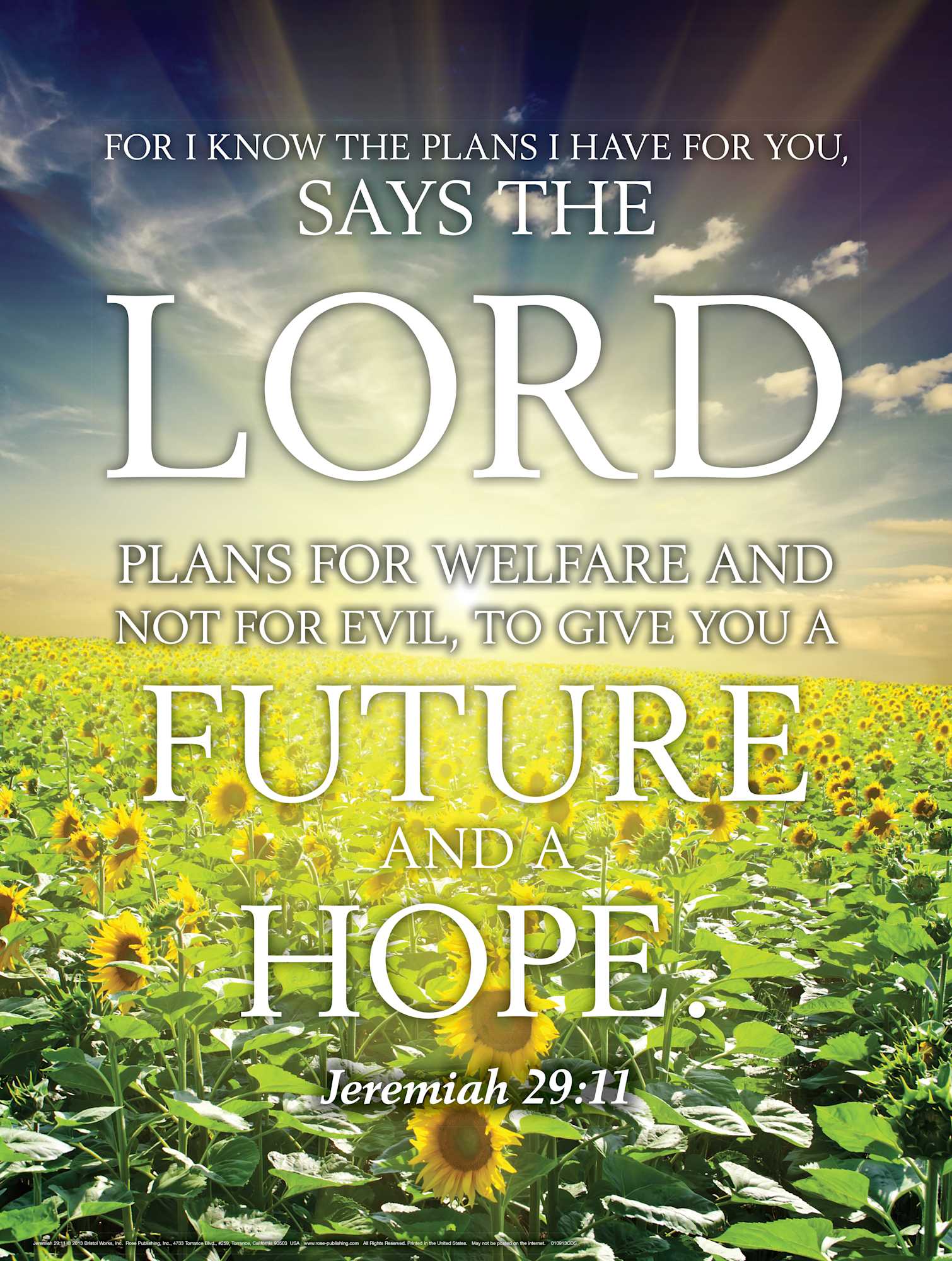 Wall Chart: Jeremiah 29:11 (Laminated)