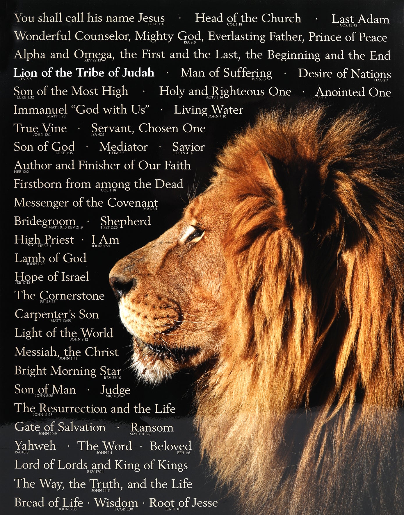 Wall Chart: Lion of Judah: Names of Christ (Laminated)