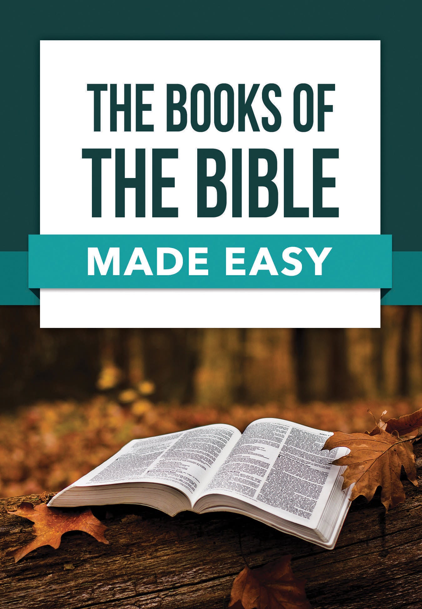 The Books of the Bible Made Easy (Bible Made Easy Series)