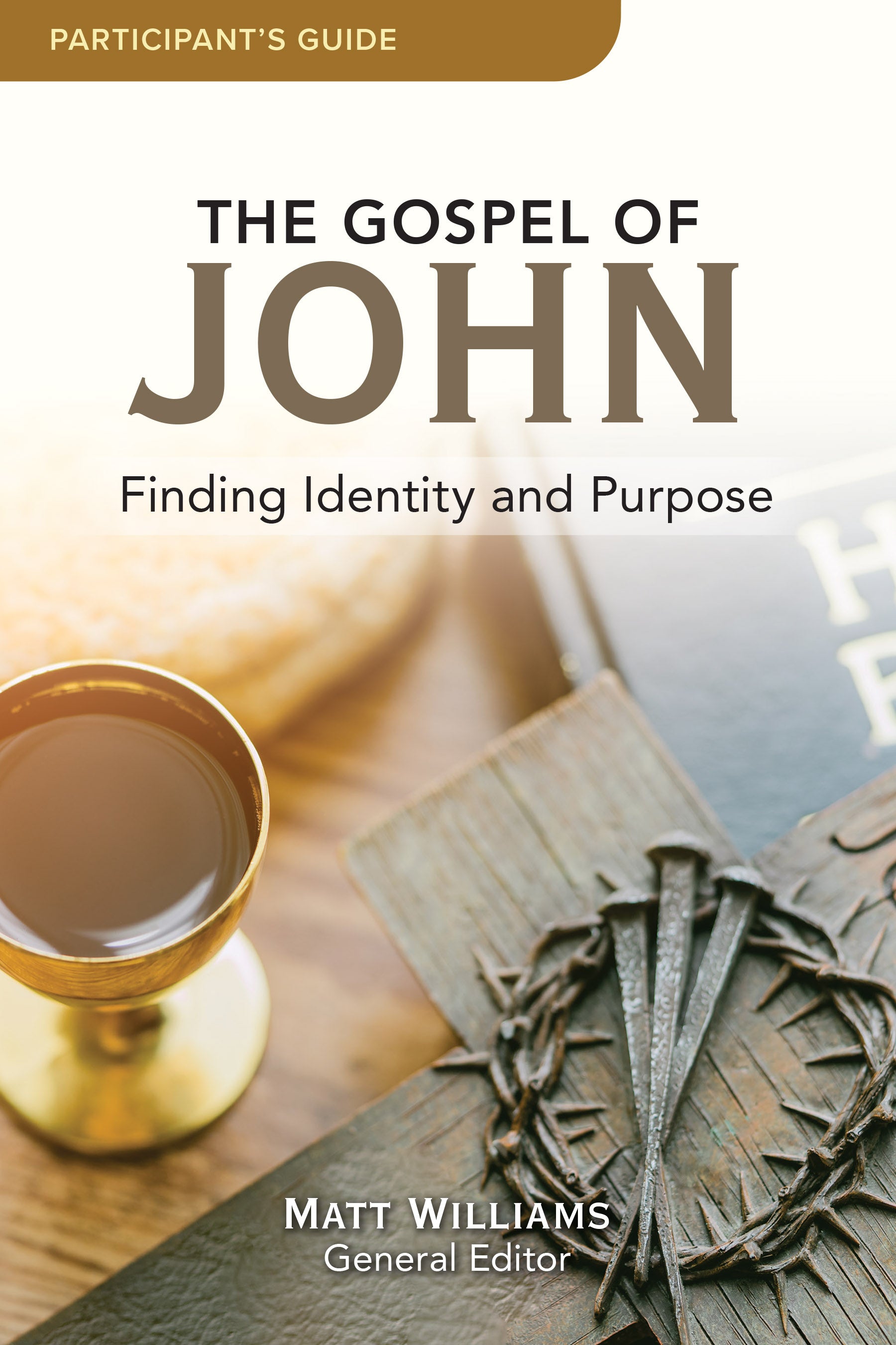 The Gospel of John: Finding Identity and Purpose (Participant Guide)