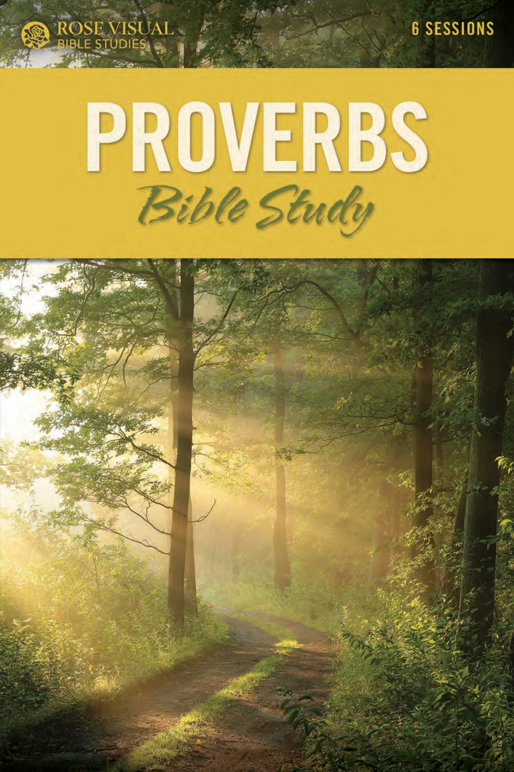 Proverbs (6 Sessions, Incl Leader's Guide) (Rose Visual Bible Studies Series)