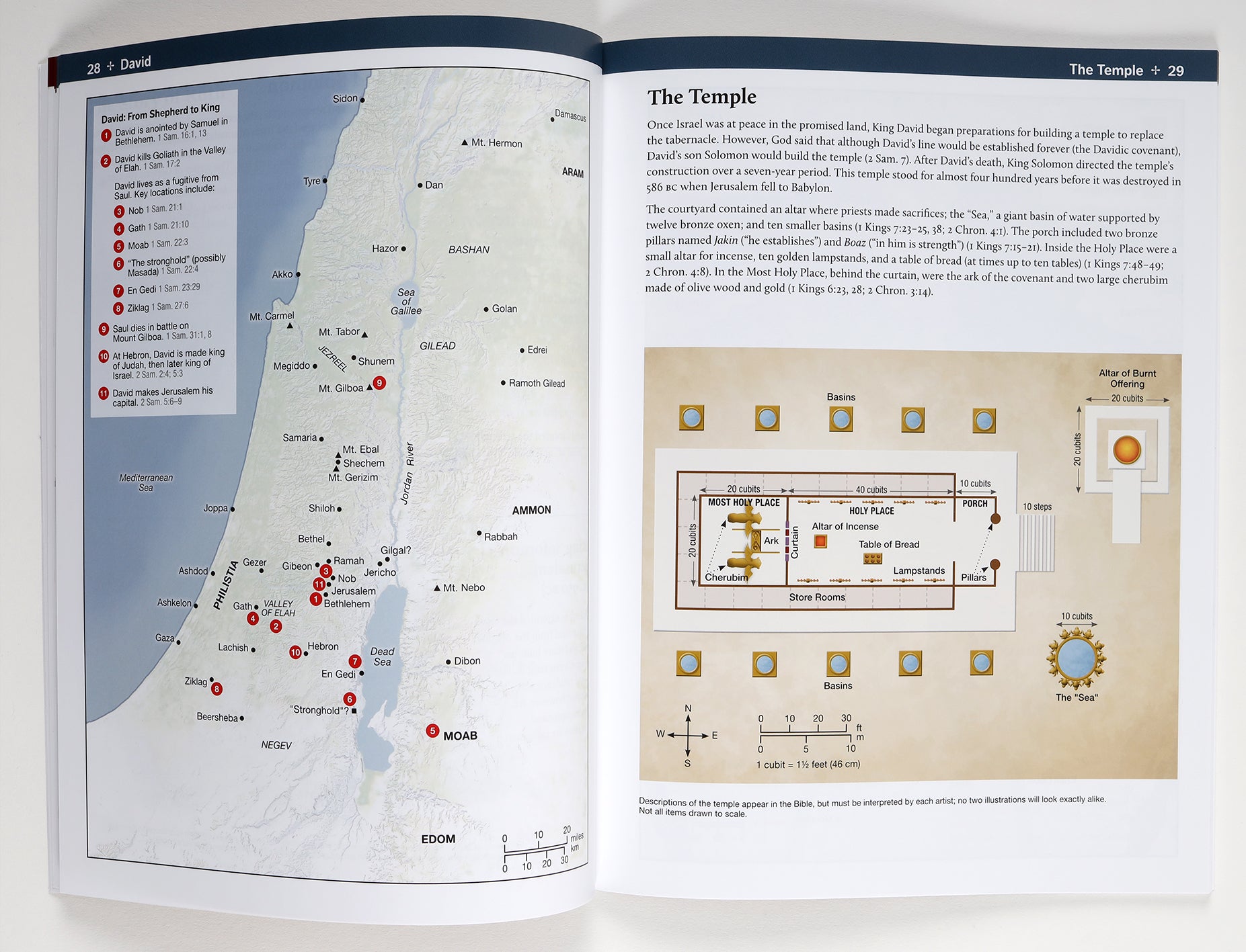 Rose Deluxe Then and Now Bible Maps (New And Expanded 2020 Edition)