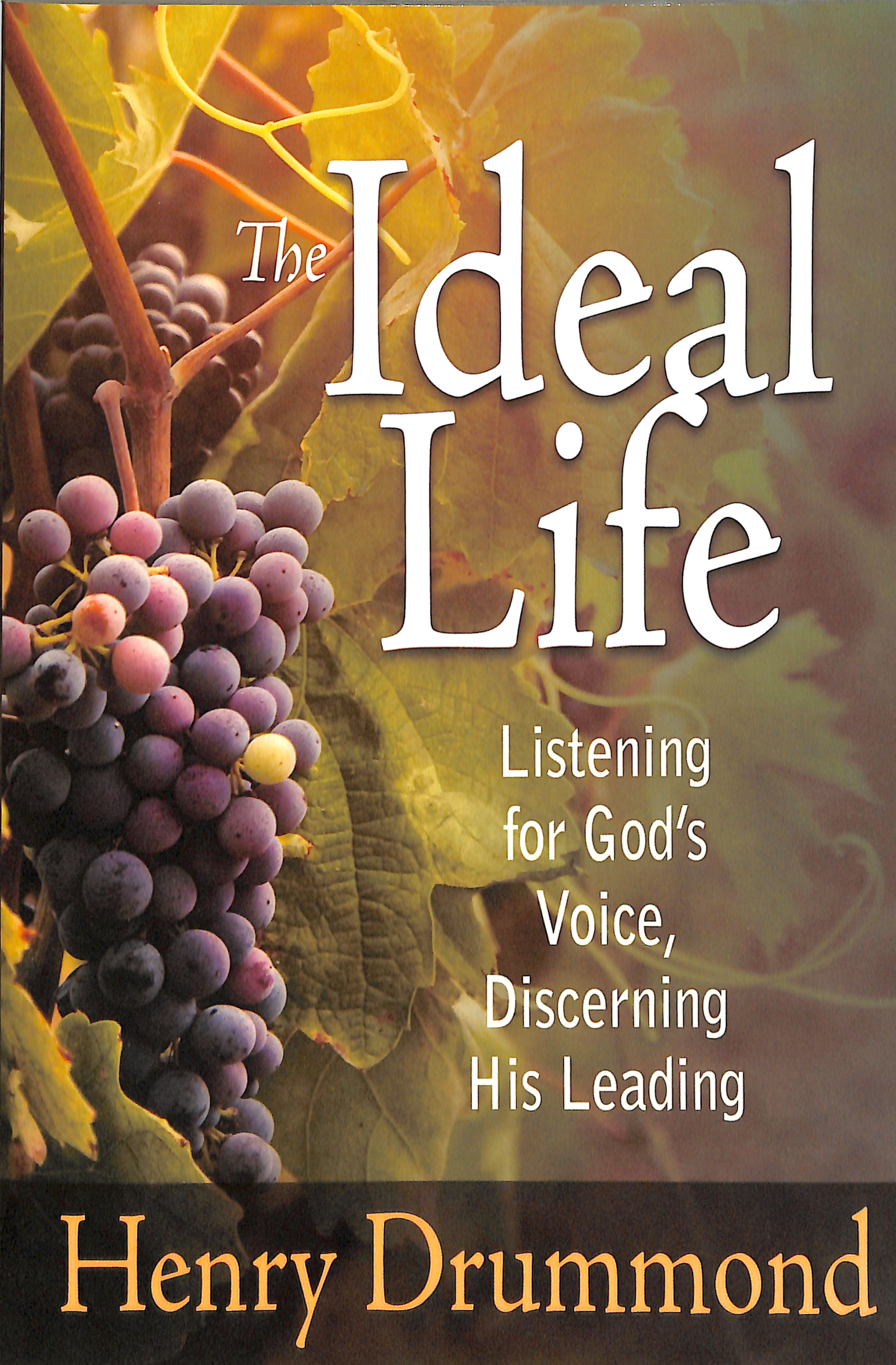 Ideal Life: Listening For Gods Voice Discerning His Leading