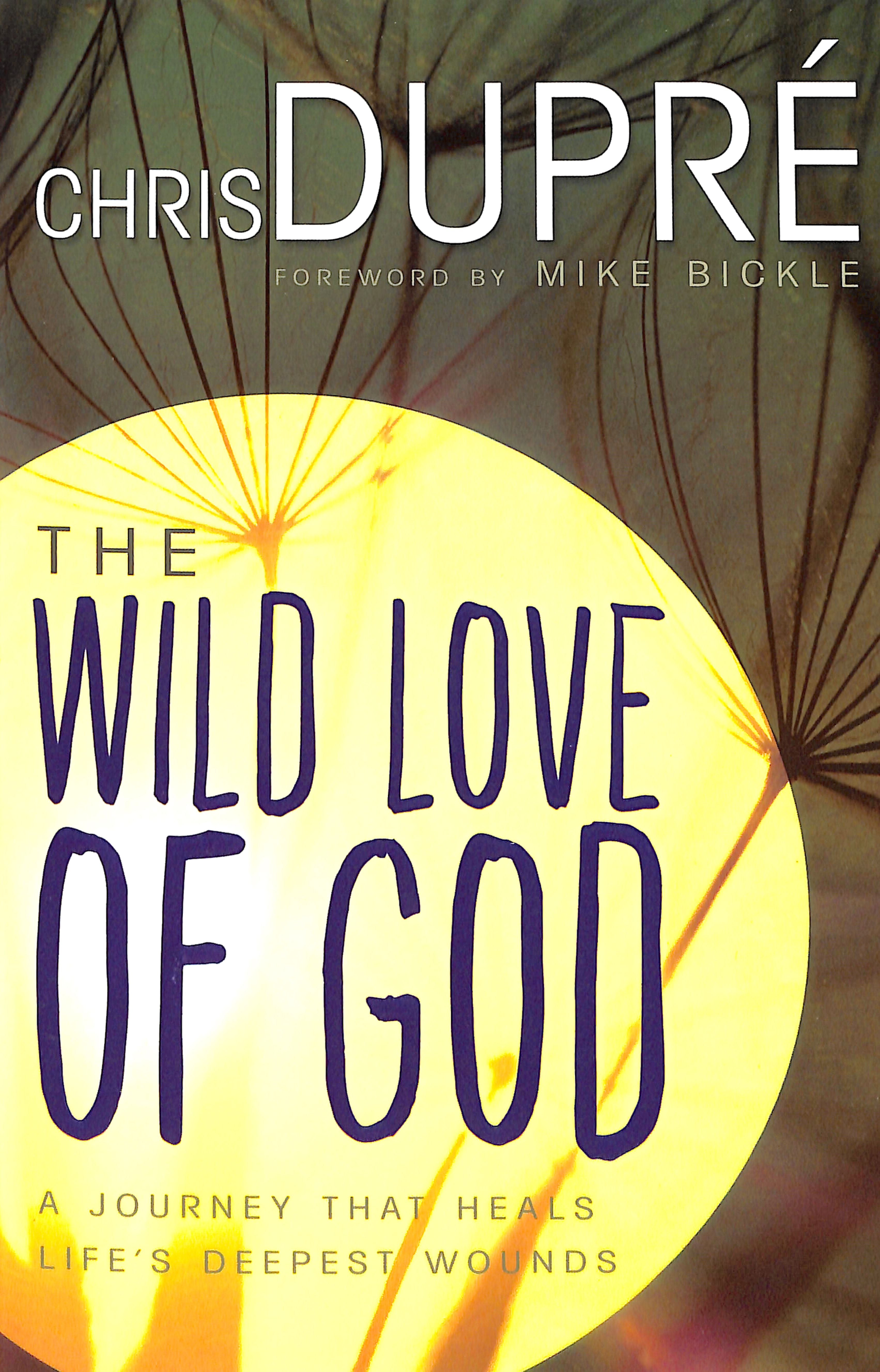 Wild Love of God: A Journey That Heals Life's Deepest Wounds