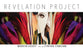 Revelation Project