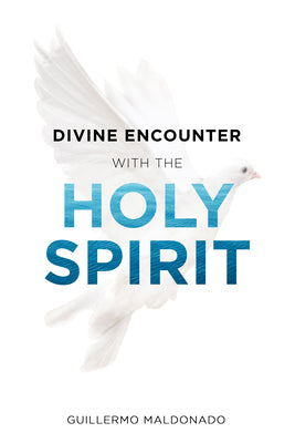 Divine Encounter With the Holy Spirit