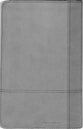 KJV Study Indexed Bible Student Edition Gray/Maroon