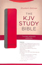 KJV Study Indexed Bible Student Edition Gray/Maroon