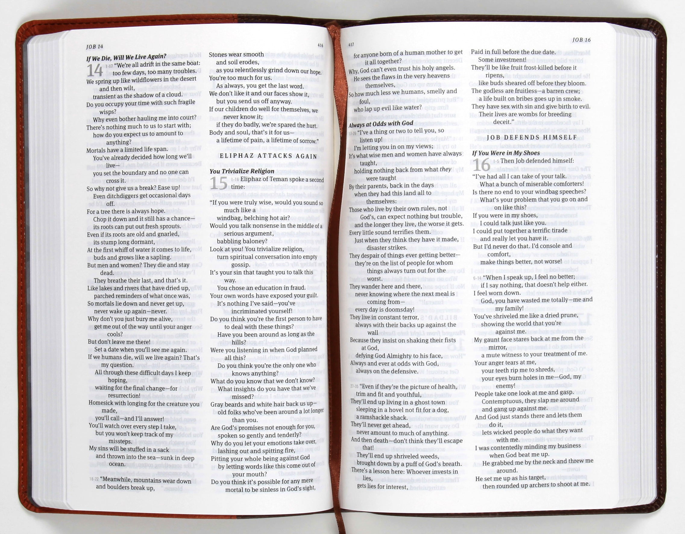 Message Deluxe Gift Bible Brown Tan (Black Letter Edition)