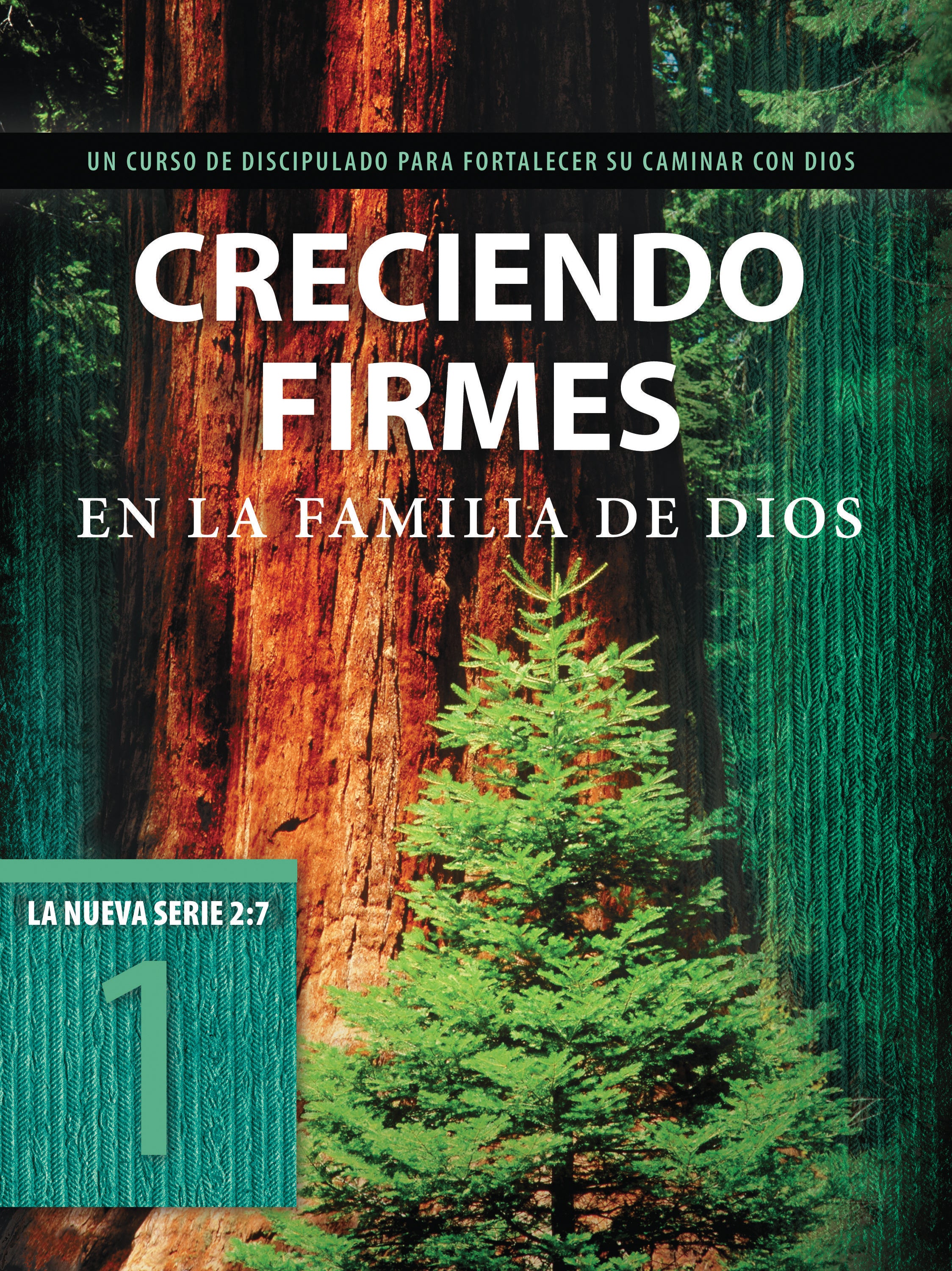 2: 7 #01  Creciendo Firmes En La Familia De Dios  Un Curso De Discipulado Para Fortalecer Su Caminar Con Dios (La Serie 2 7 Series) (Spanish)