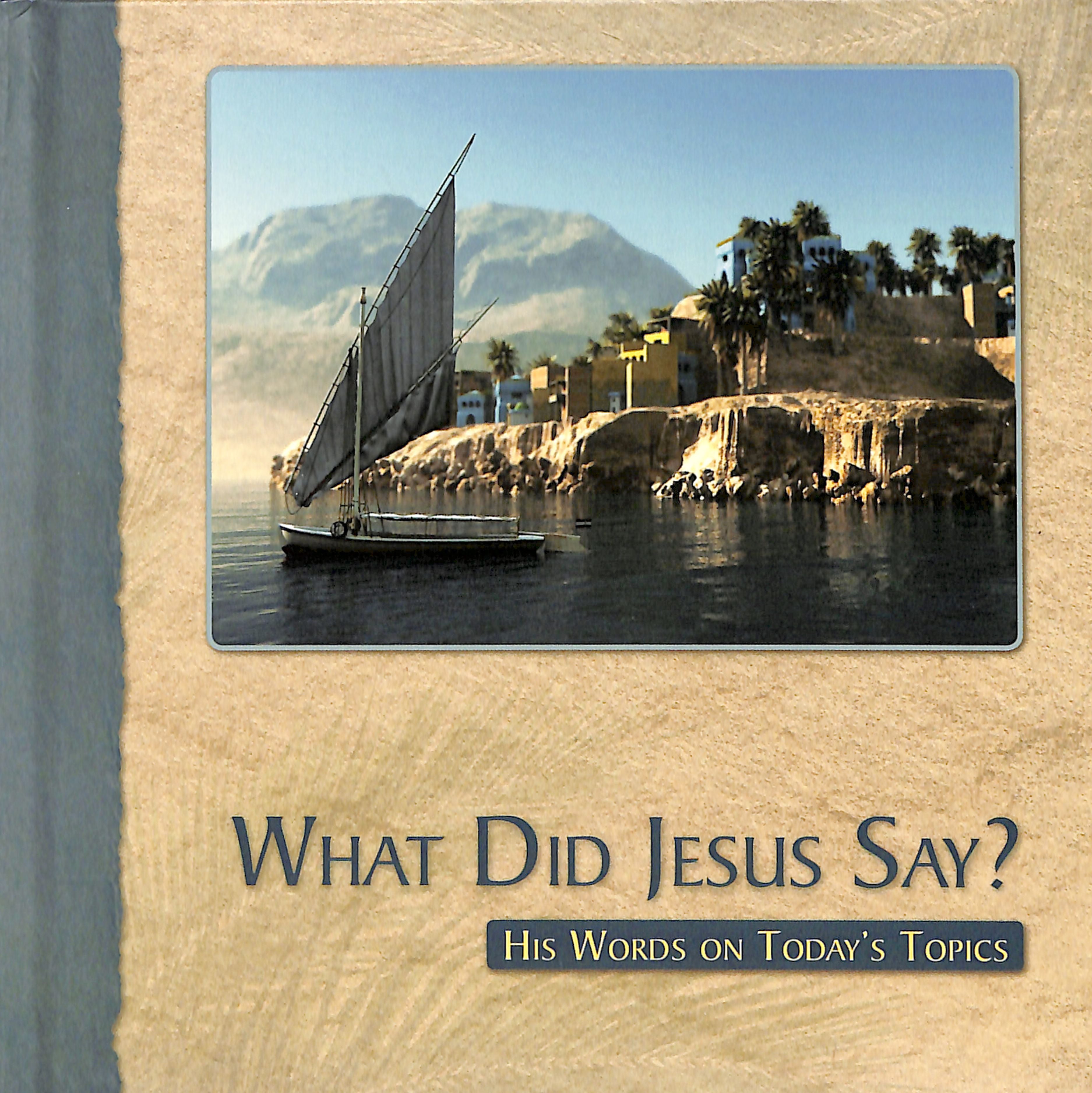 What Did Jesus Say?: His Words on Today's Topics