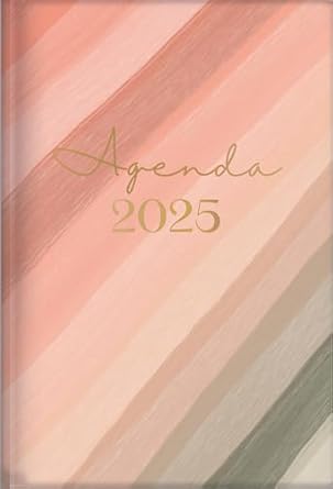 2025 Diary/Planner: The Treasure of Wisdom Daily Agenda Pinks Palette