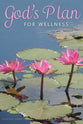 God's Plan For Wellness