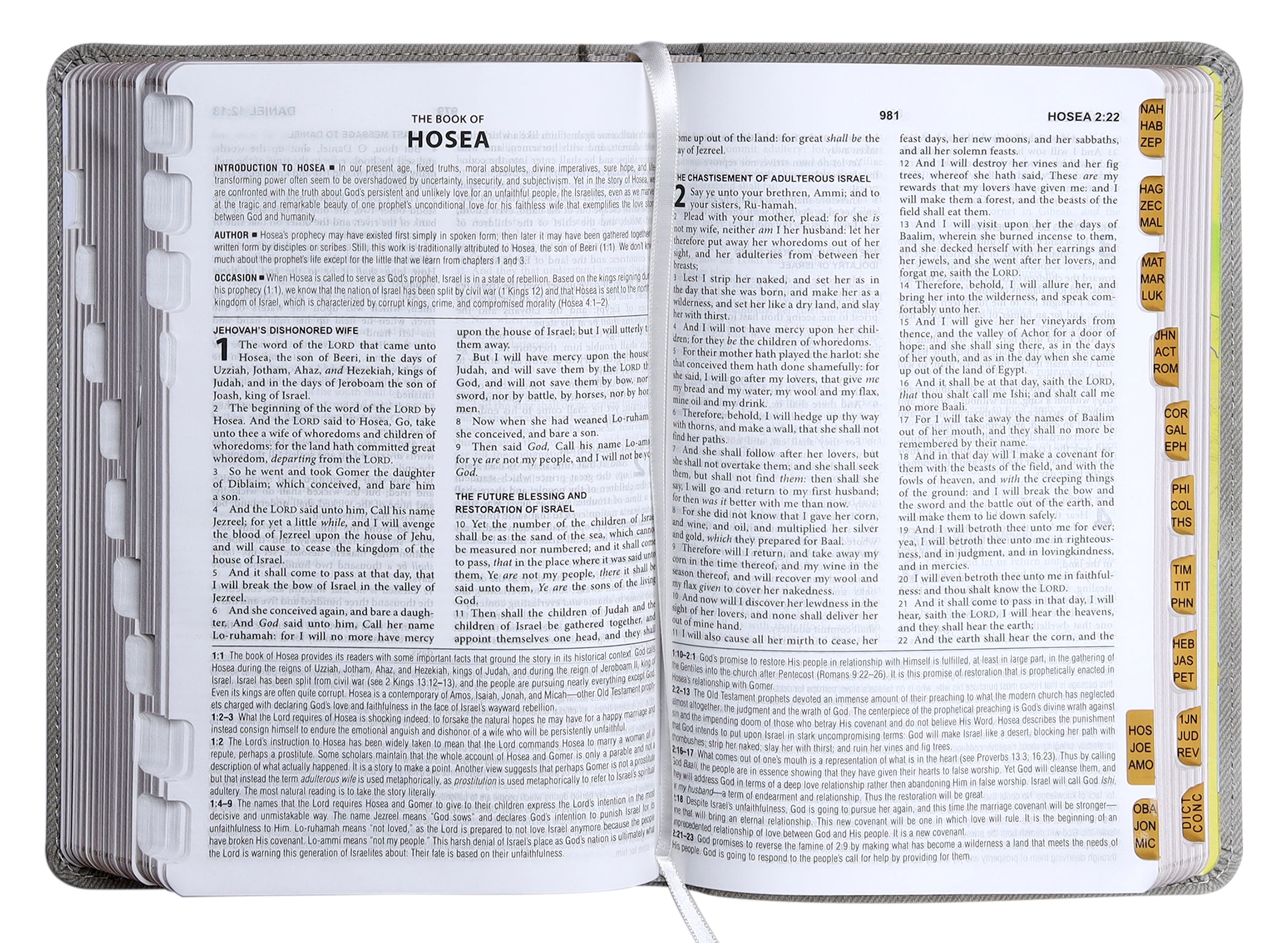 KJV Go-Anywhere Study Bible (Red Letter Edition) (Dicarta)