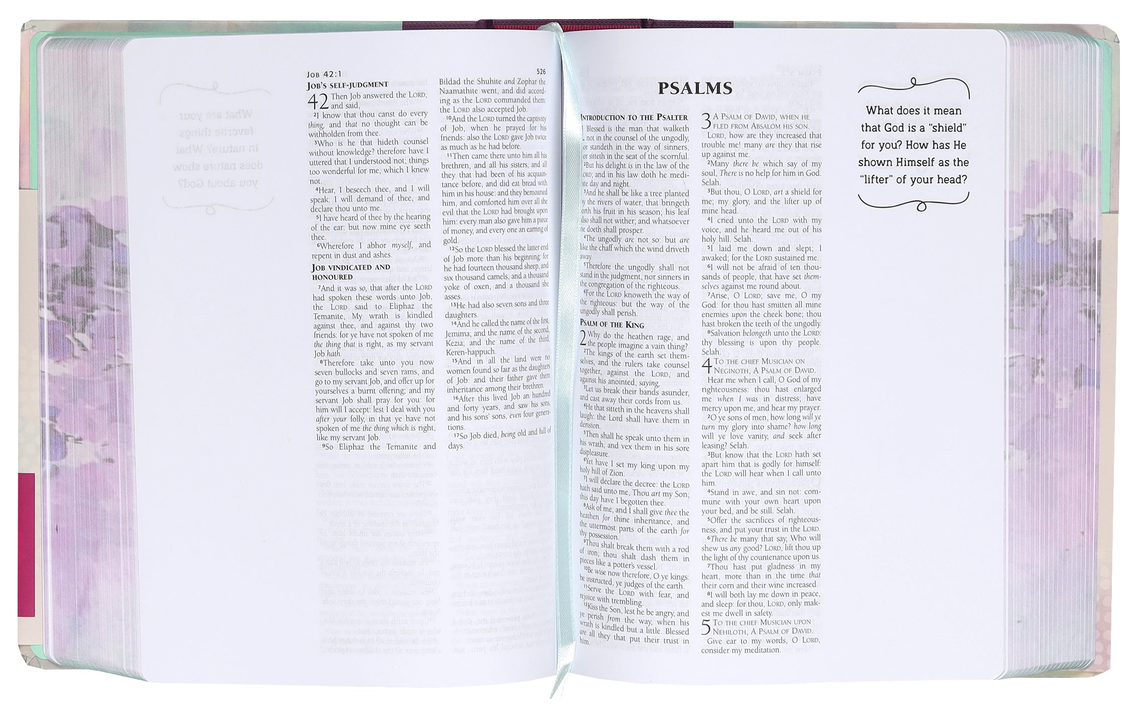 KJV God's Word, My Thoughts Bible For Teen Girls (Red Letter Edition)