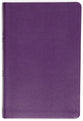 KJV Go-Anywhere Bible For Young Women, the (Red Letter Edition) (Plum Patch)
