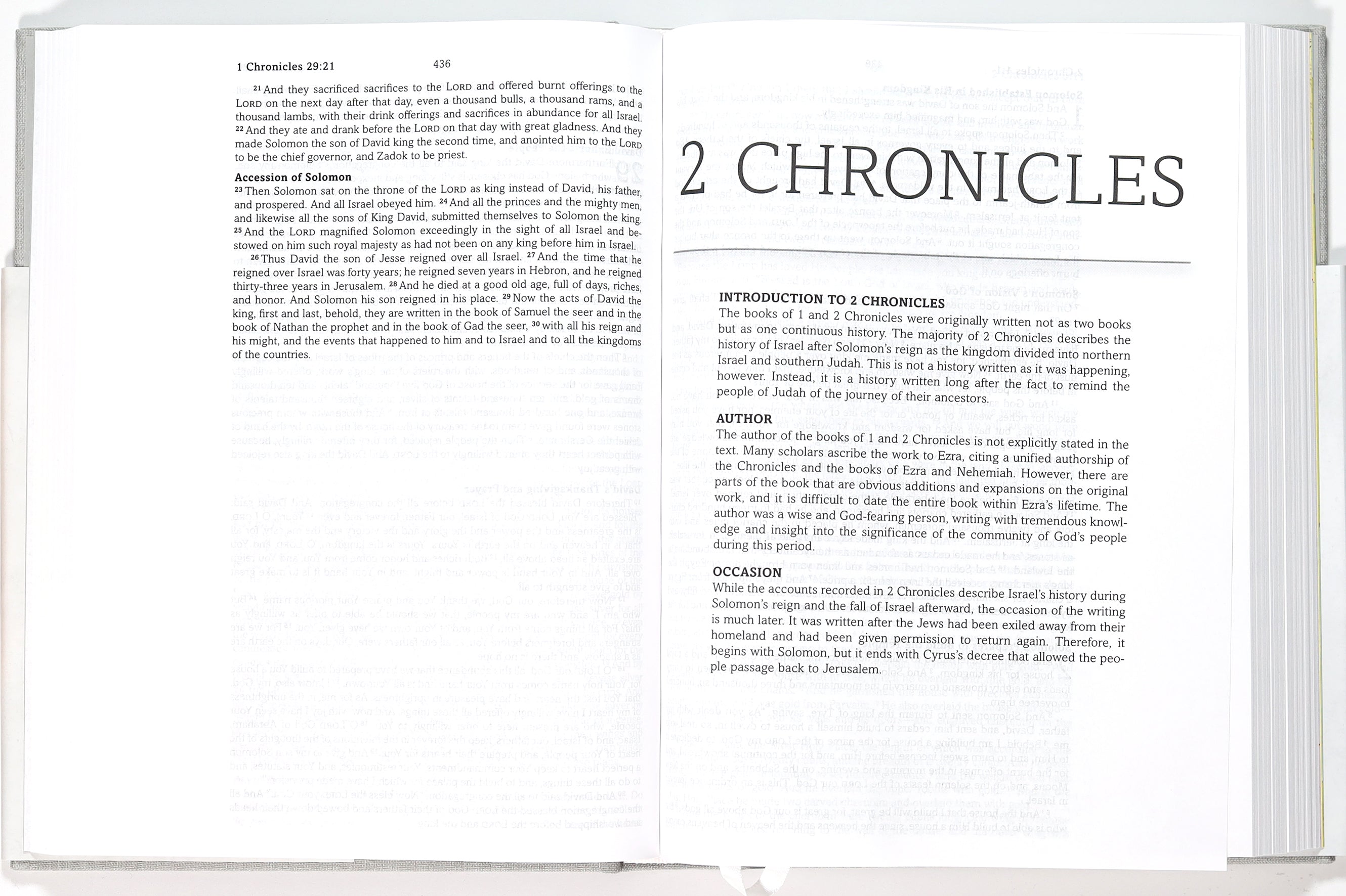 Simplified KJV Bible Pewter Branch