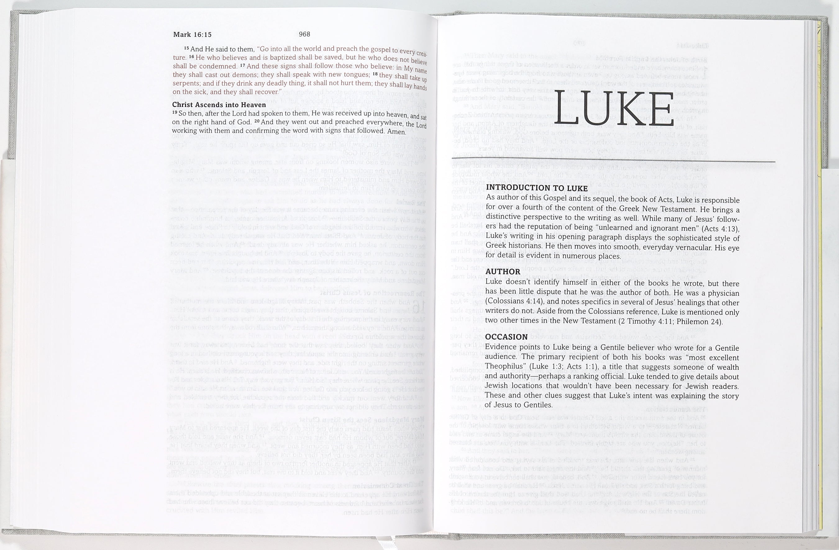 Simplified KJV Bible Pewter Branch