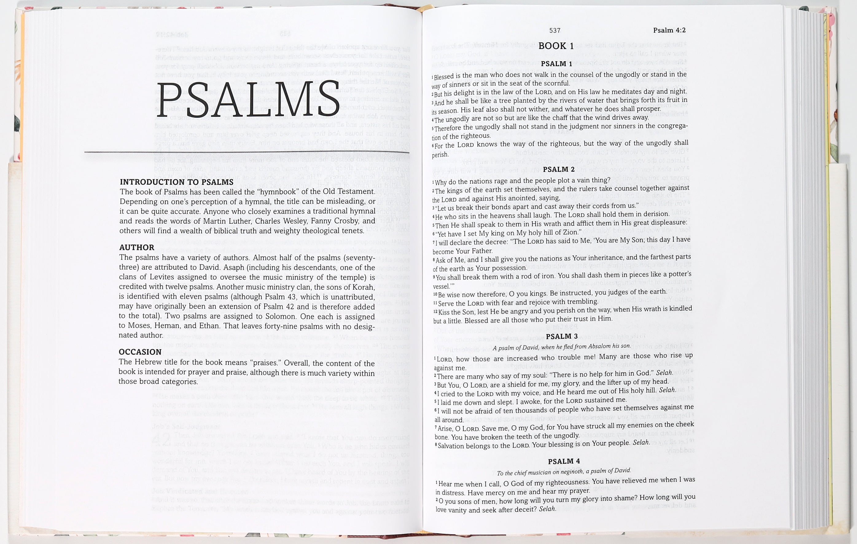Simplified KJV Bible Wildflower Medley