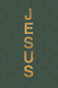 Jesus, a Life in Pictures: His Complete Story Interwoven From the Biblical Gospels