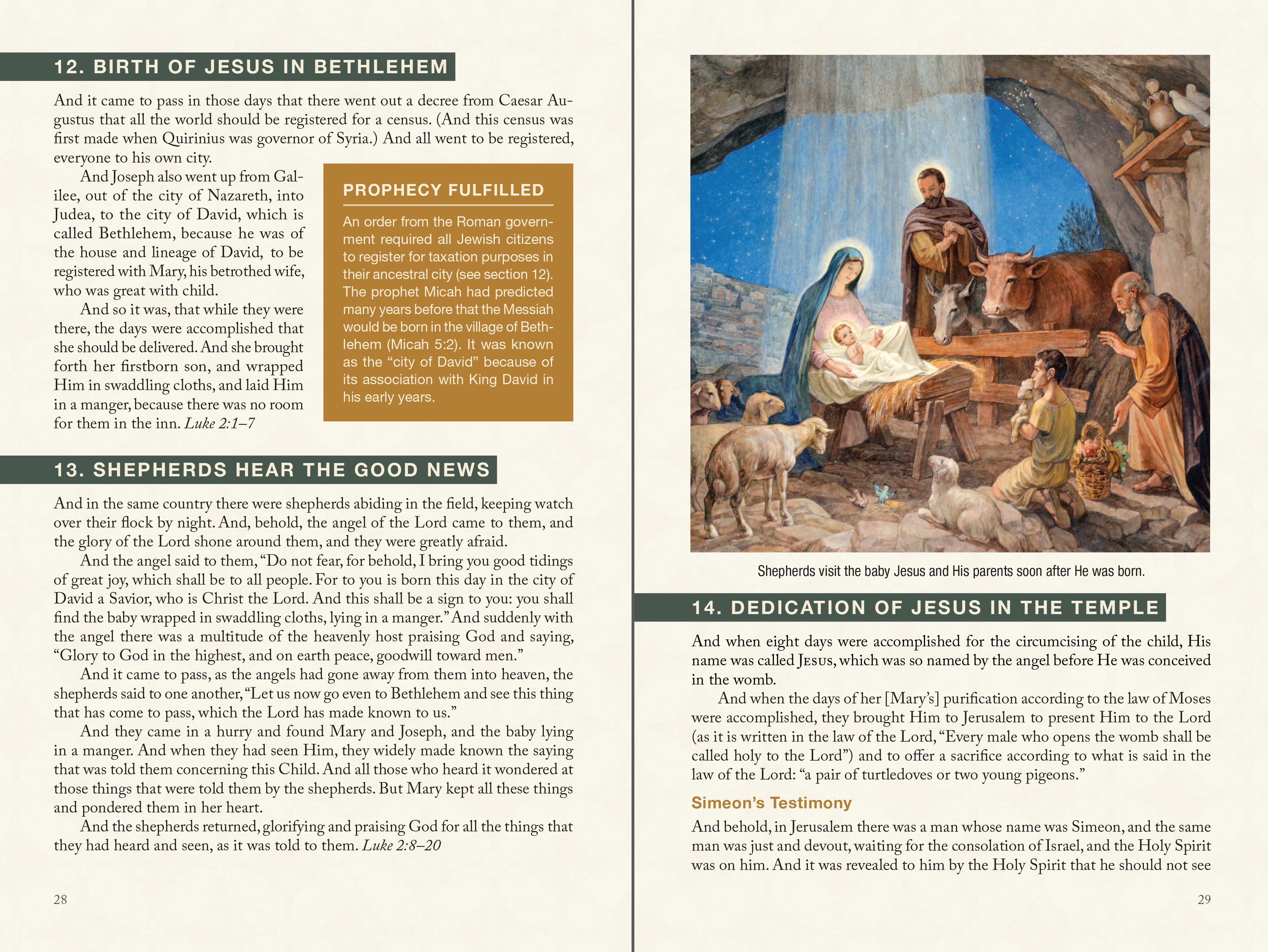 Jesus, a Life in Pictures: His Complete Story Interwoven From the Biblical Gospels