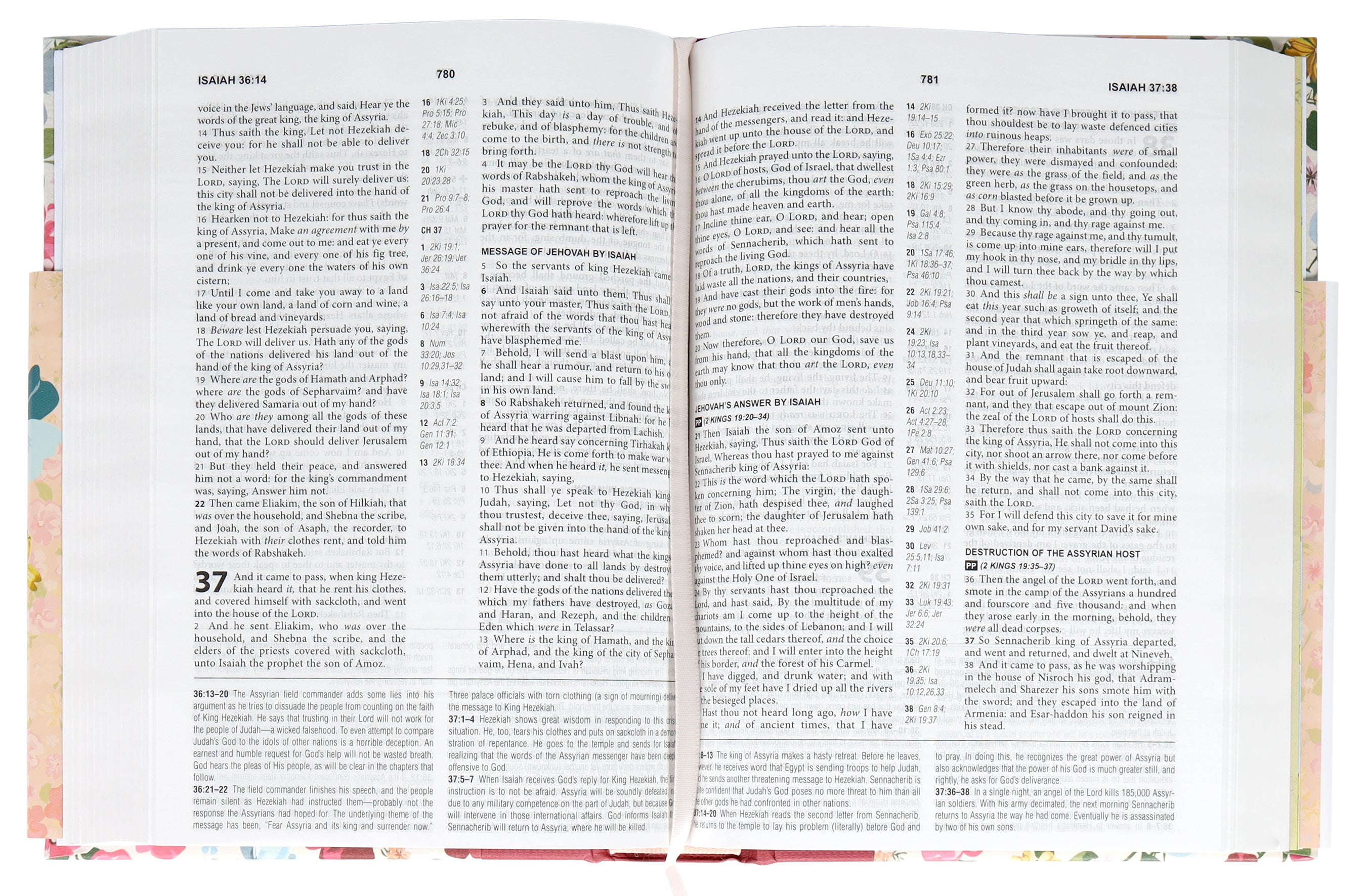 KJV Compact Cross Reference Study Bible Midsummer Meadow
