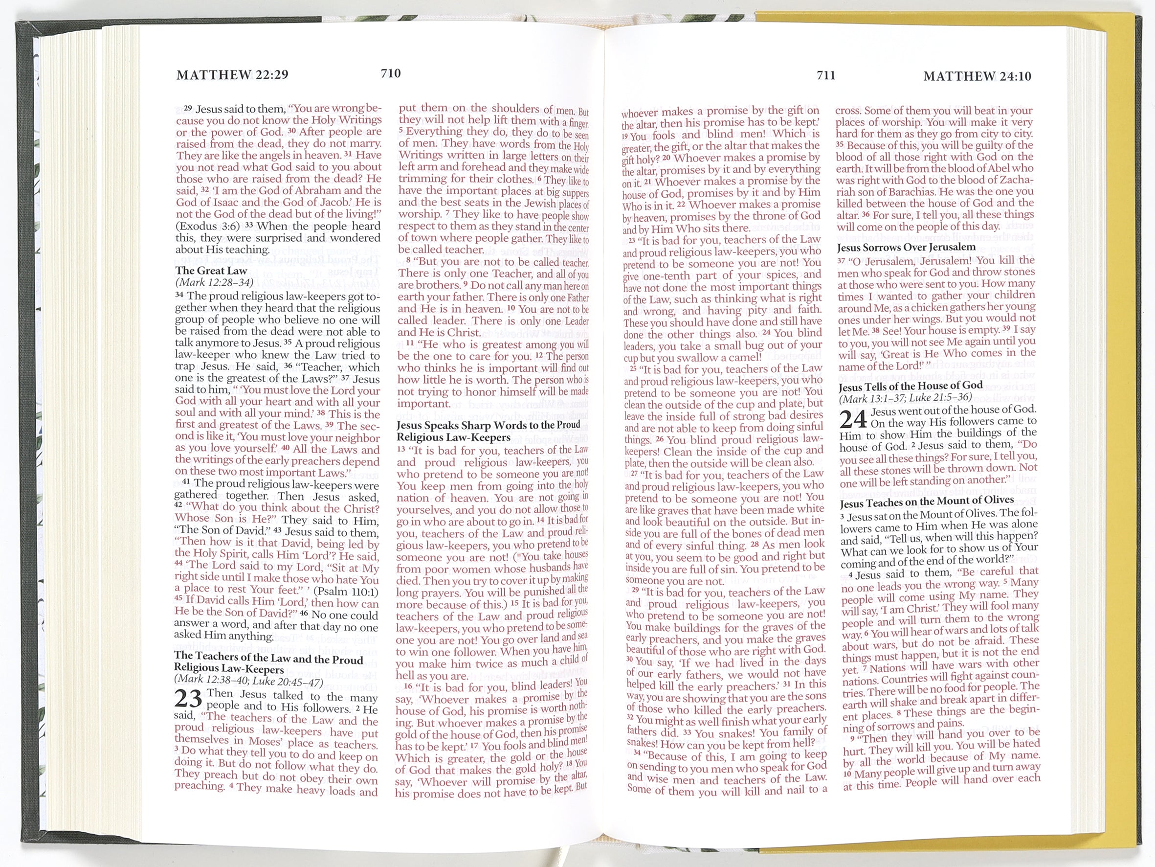 NLV  Beautiful Wisdom Bible Juniper Songbird (Beautiful Wisdom Series)