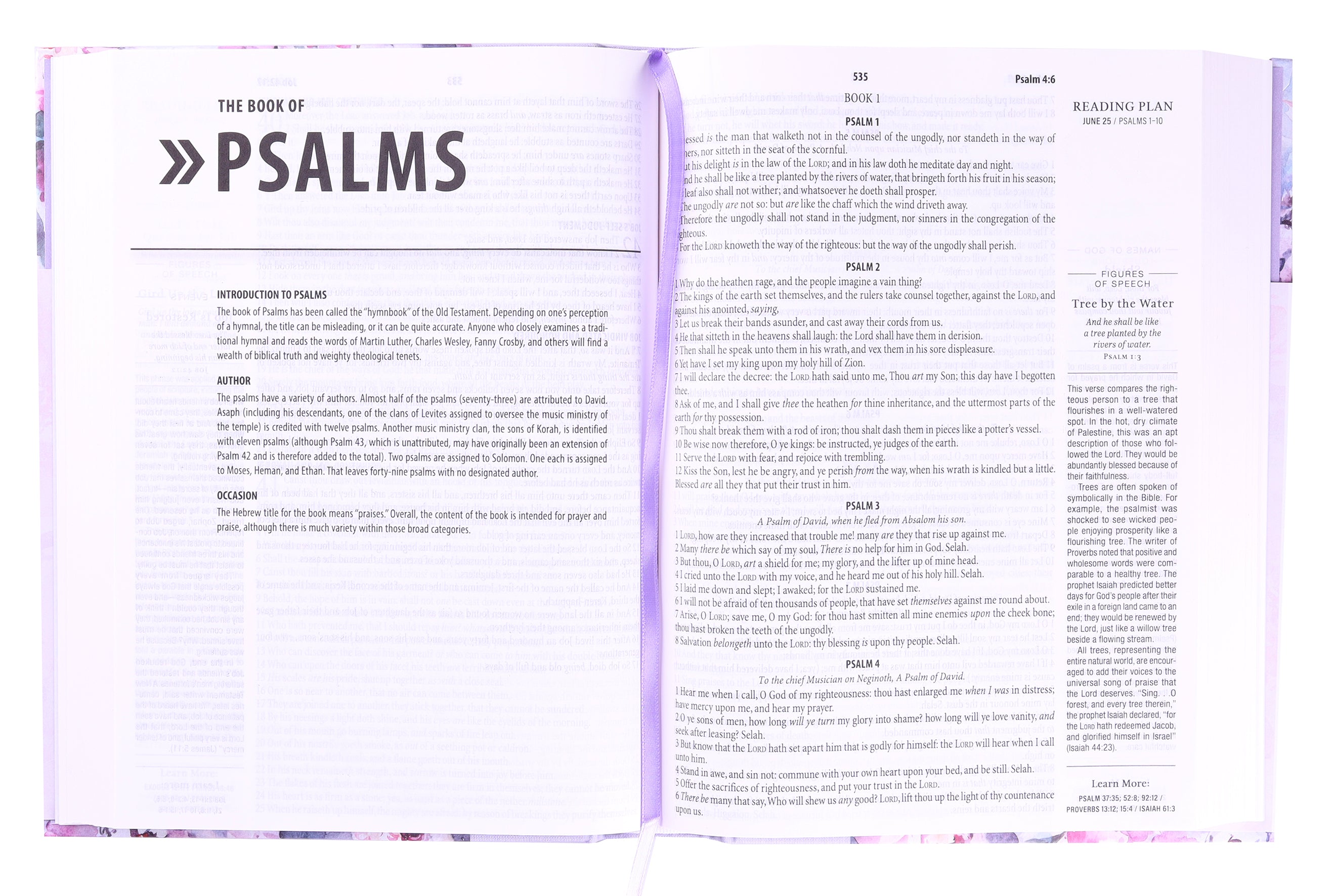 KJV 1-Minute Study Bible Lavender Petals