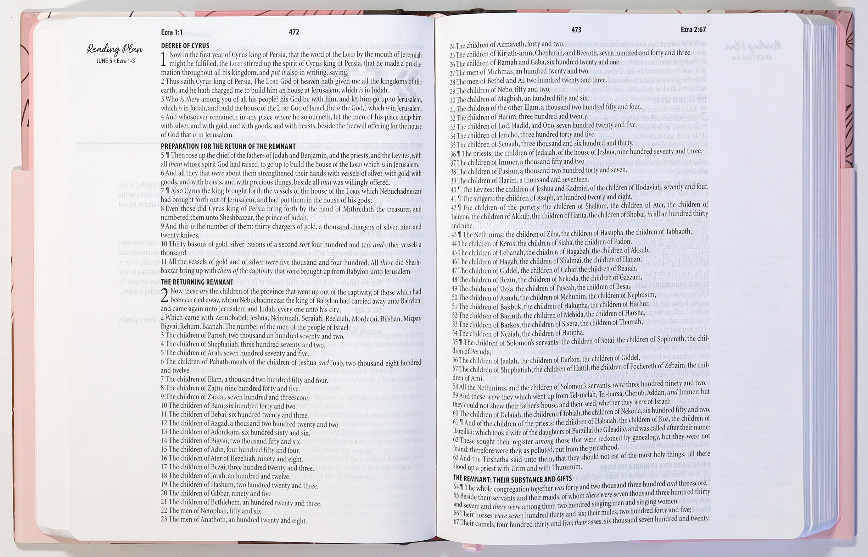 KJV 3-Minute Devotions For Women Bible Rose & Copper Florets (3 Minute Devotions Series)