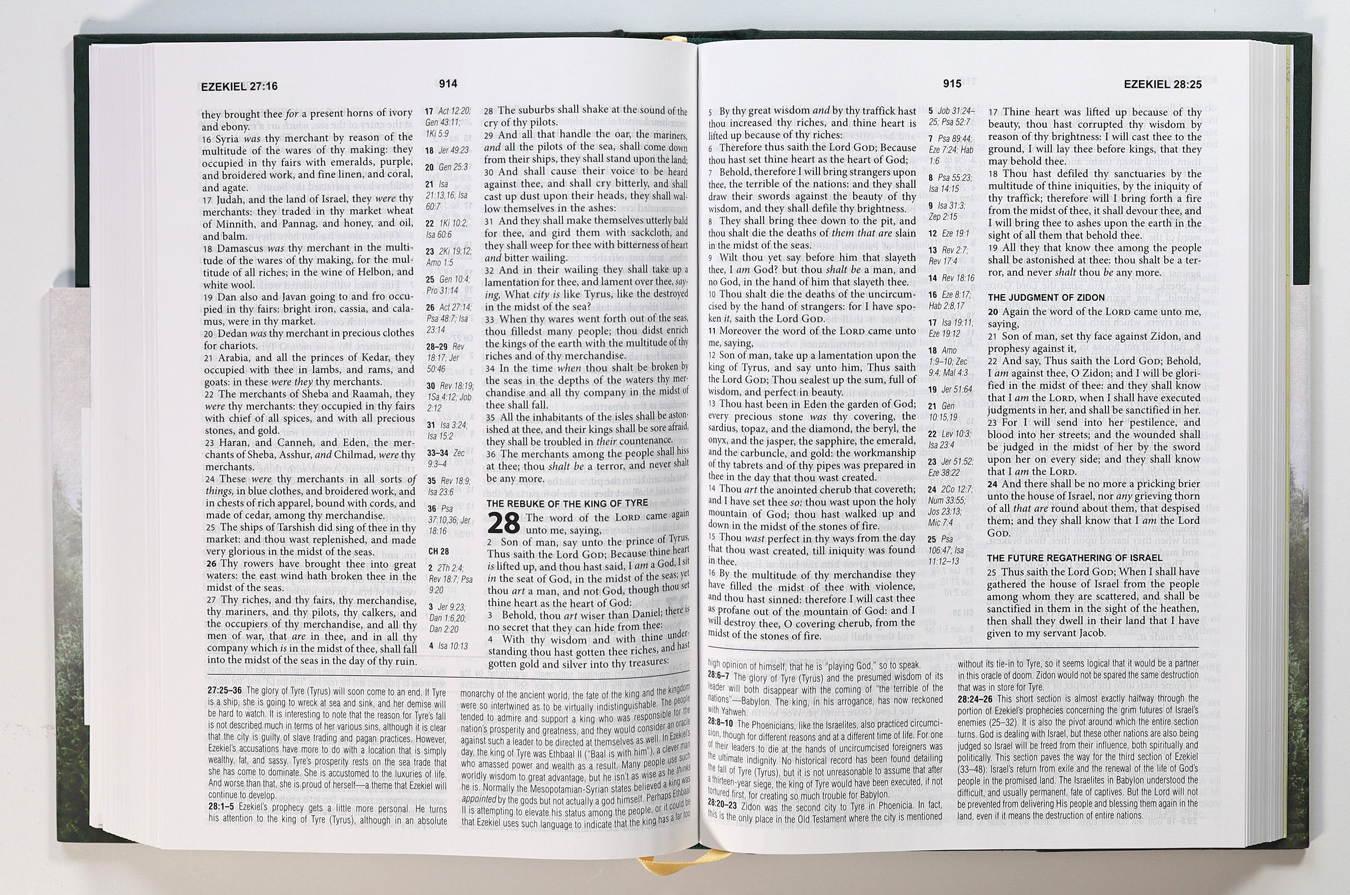 KJV Cross Reference Study Bible Diamond Spruce (Red Letter Edition)