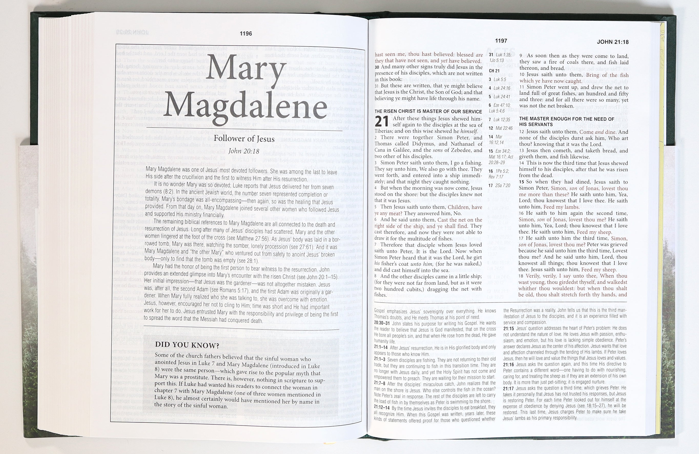 KJV Cross Reference Study Bible Diamond Spruce (Red Letter Edition)