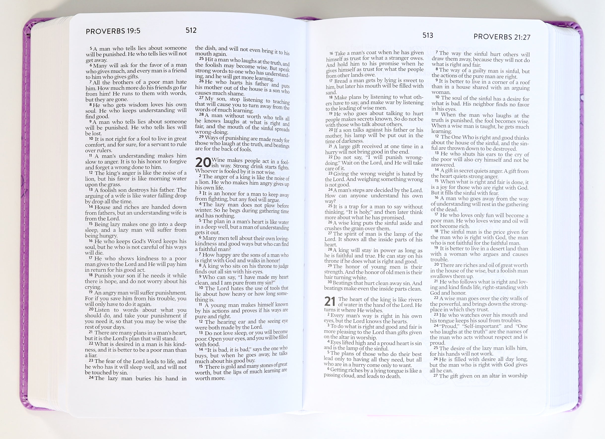 NLV  Unique the New Life Bible For Teen Girls